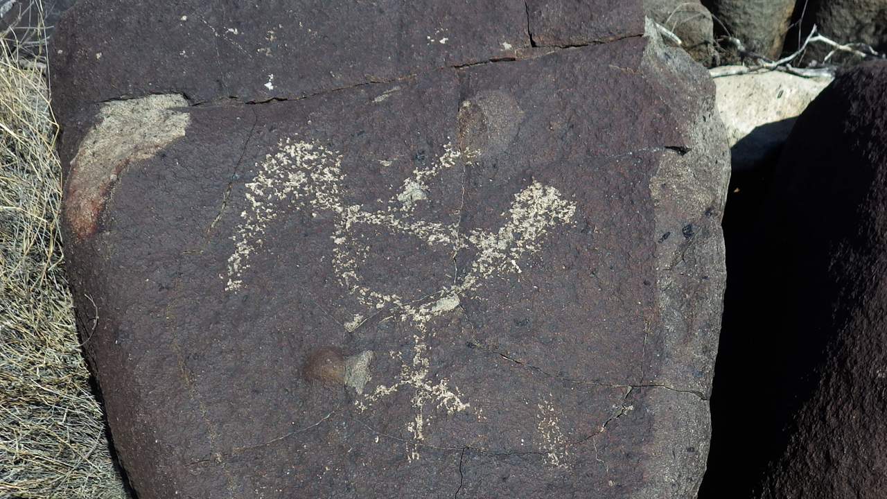 duck or chicken petroglyph