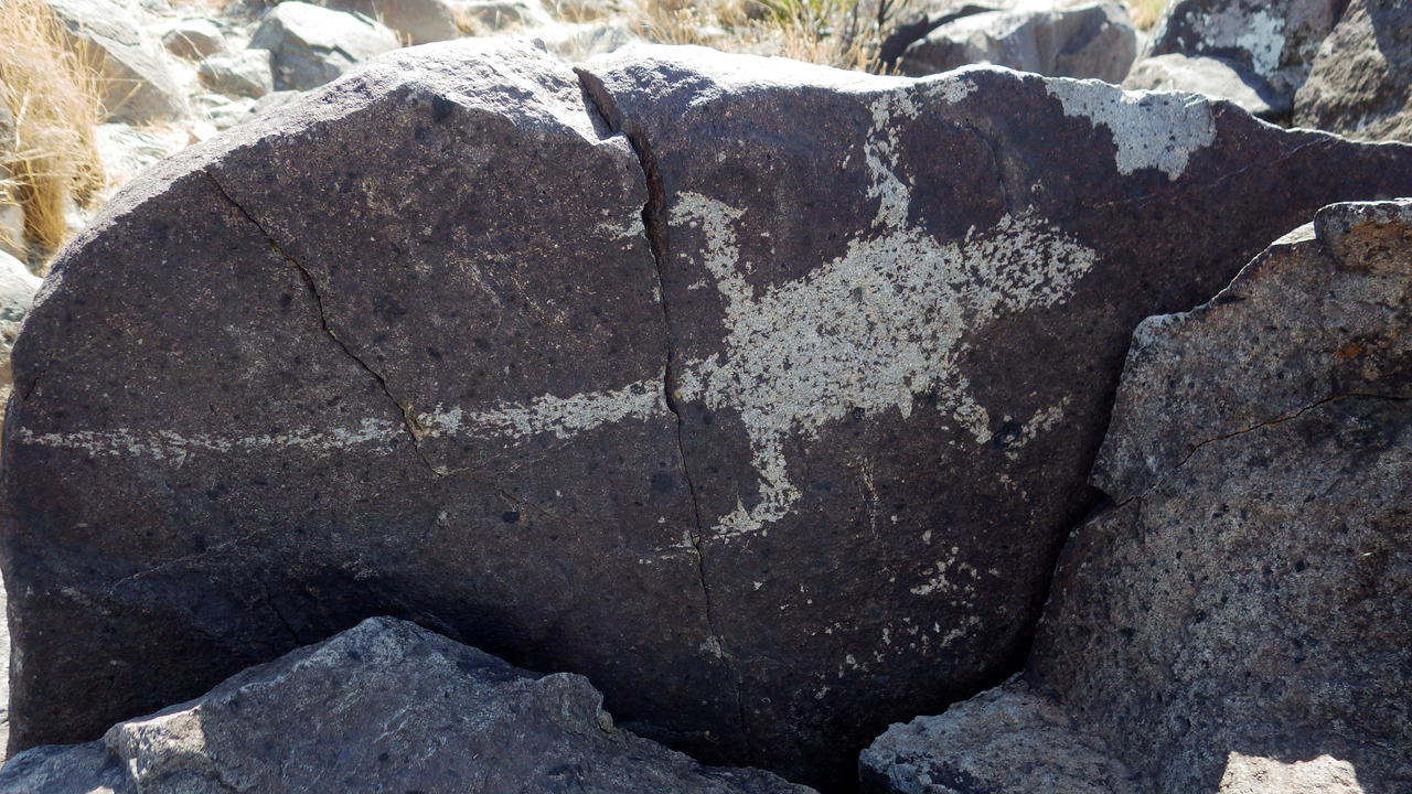 lizard petroglyph