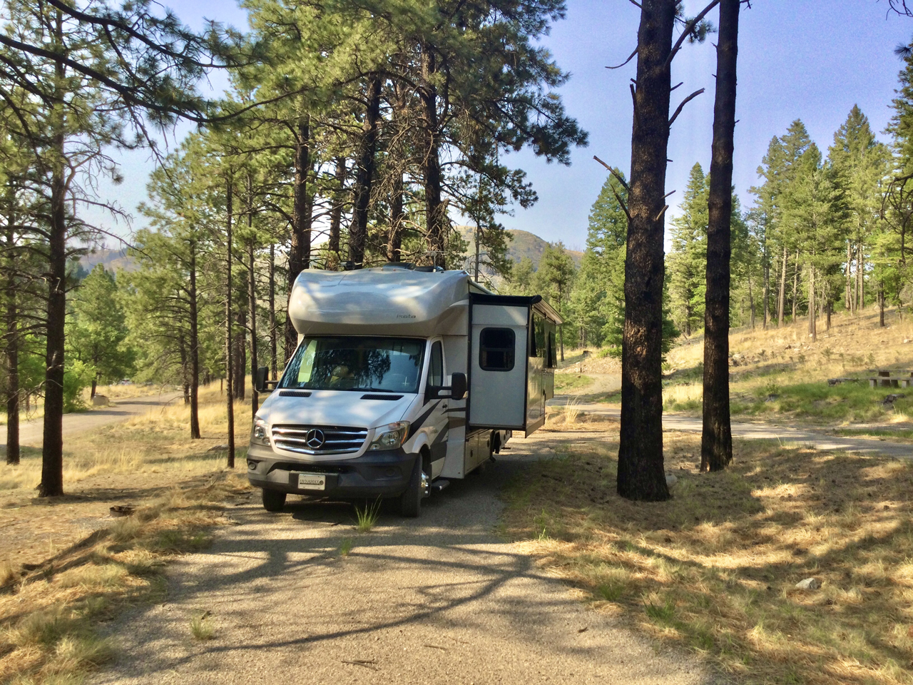 camping in the pines