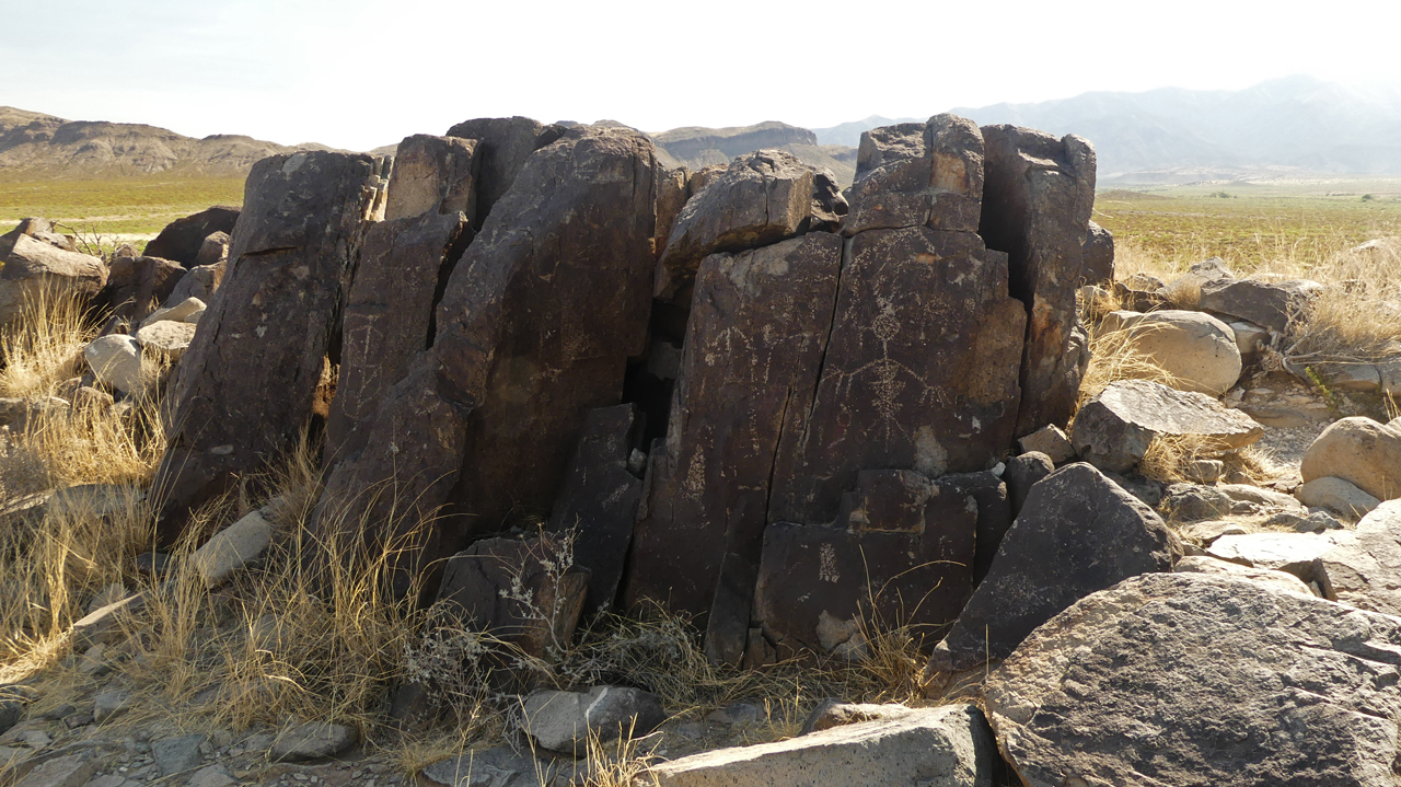 various petroglyph figures