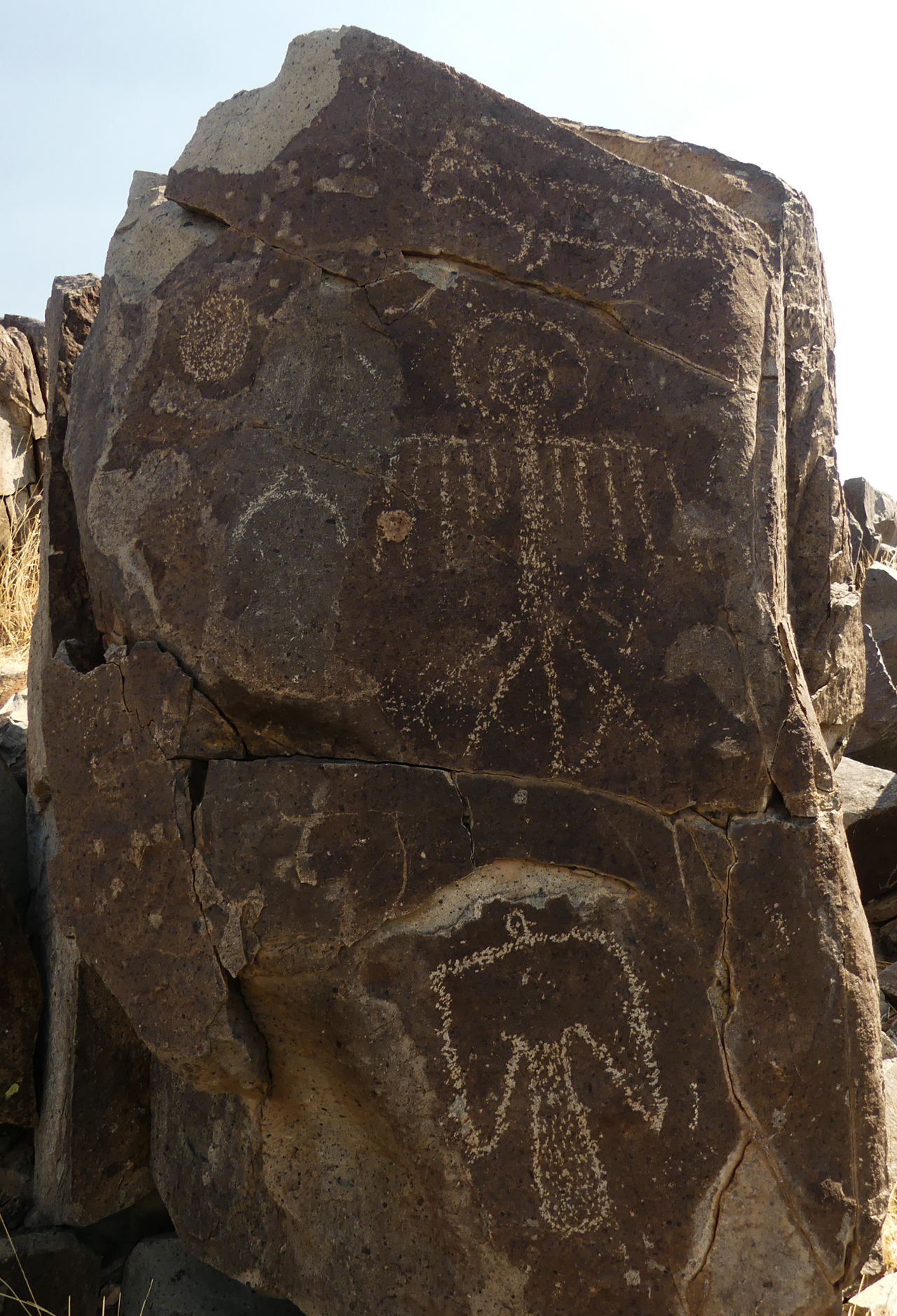 two birds petroglyph