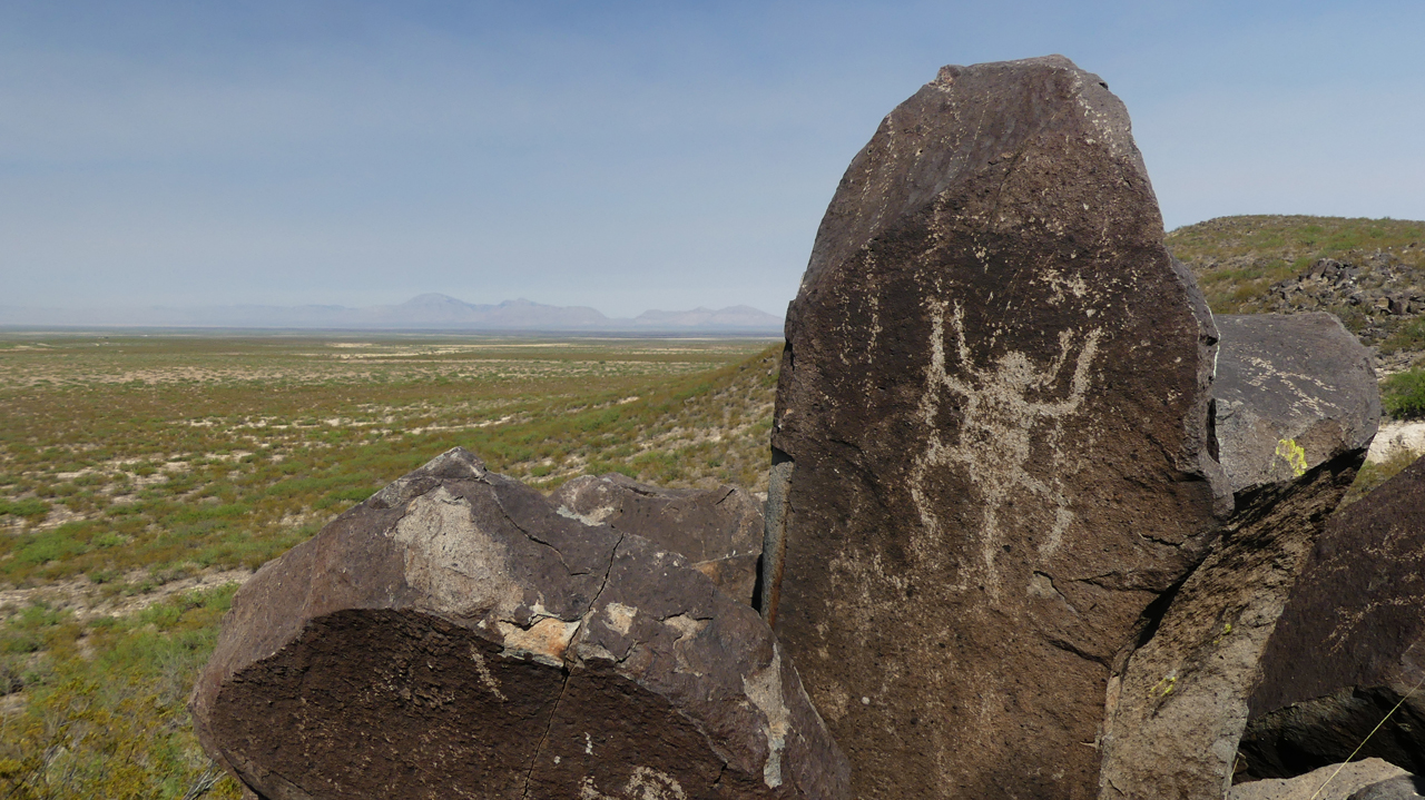 insect petroglyph