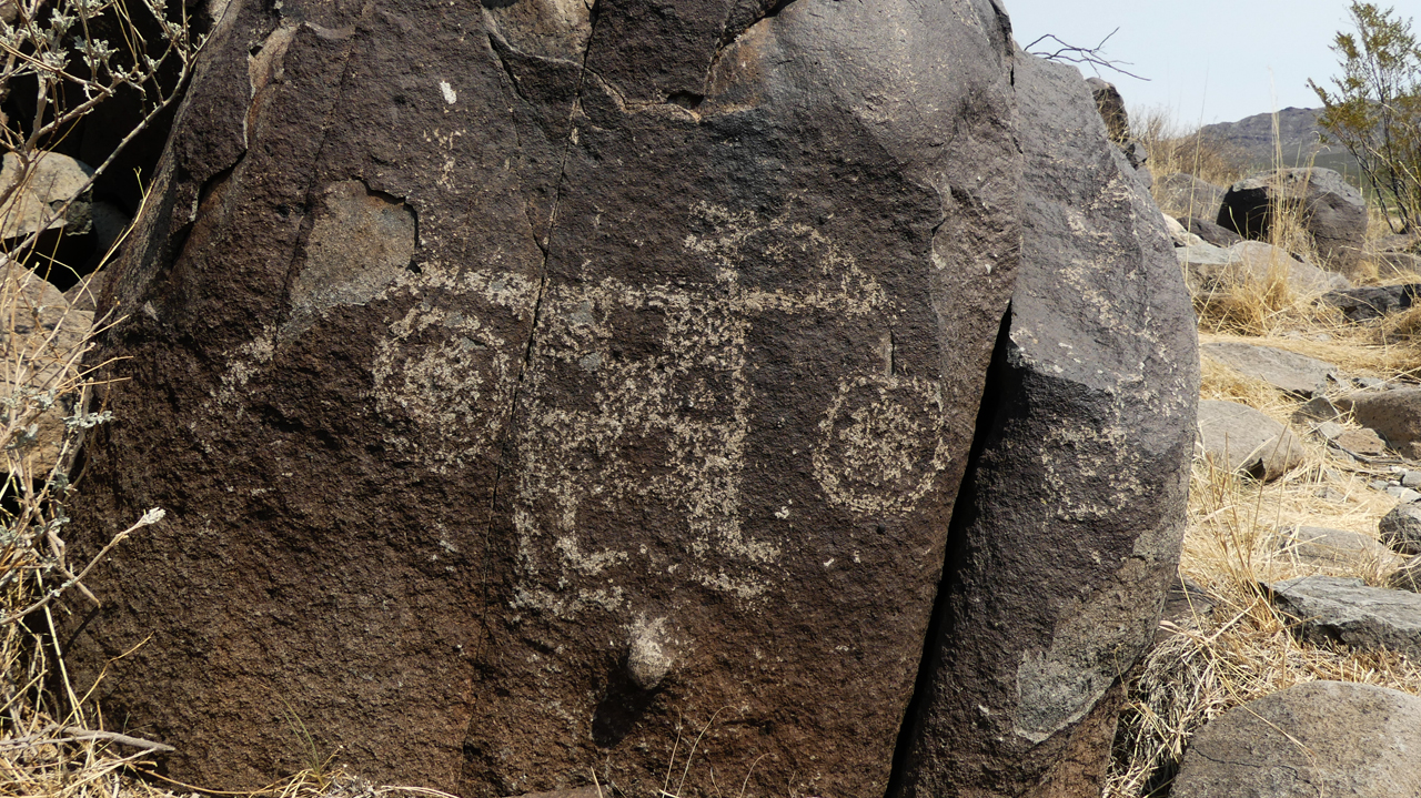 animal with checkerboqard petroglyph