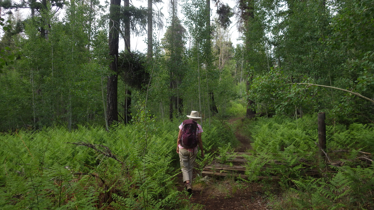 hiking through the ferms