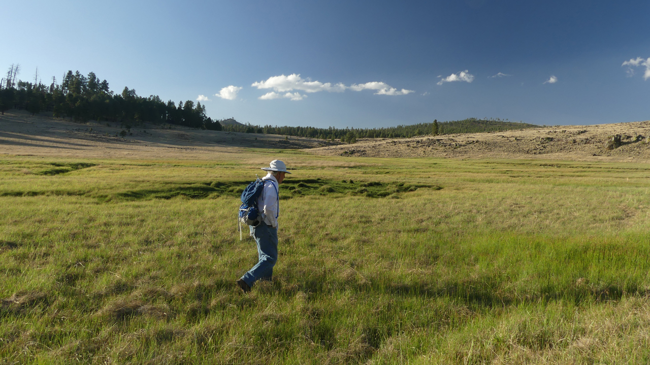 hiking in a meadow