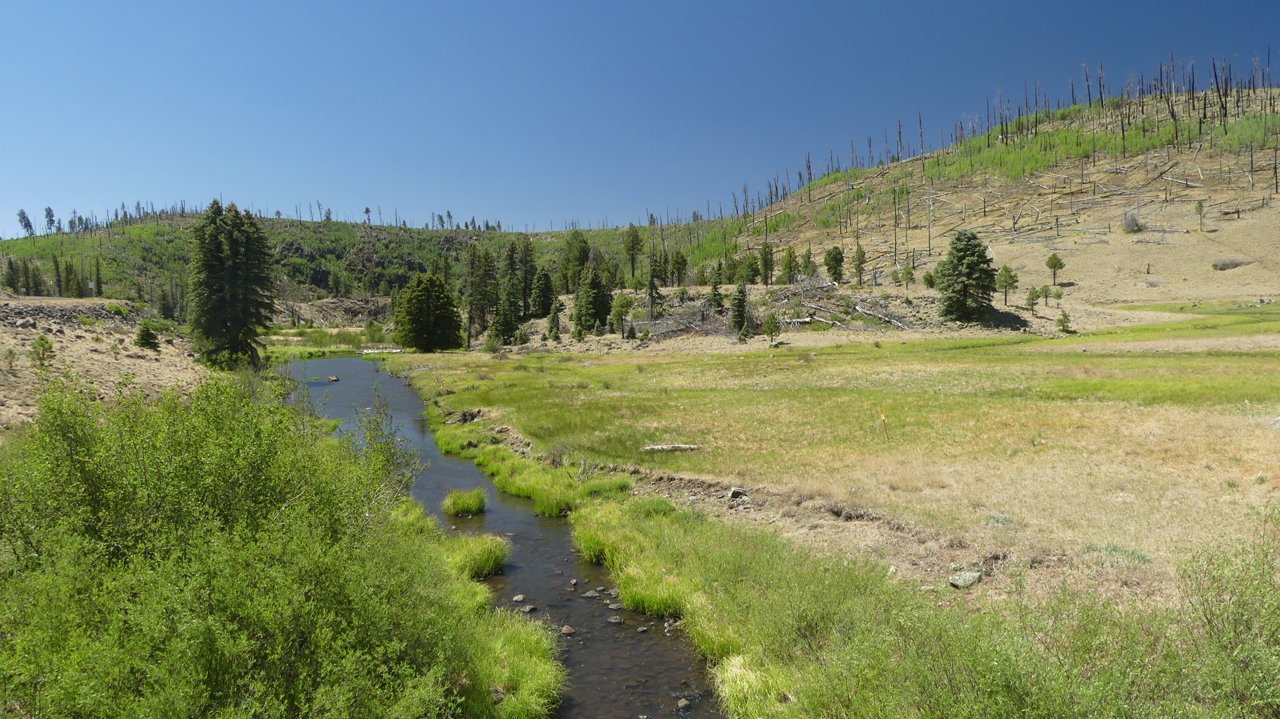 Three Forks confluence