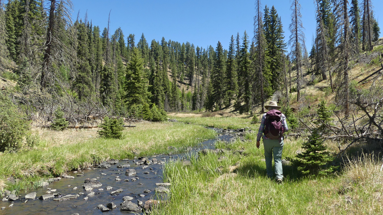 hiking along Boneyard Creek