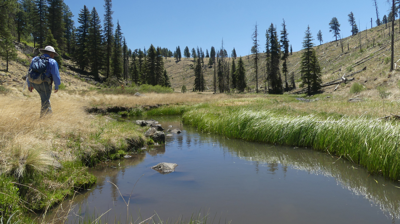 another view of Boneyard Creek