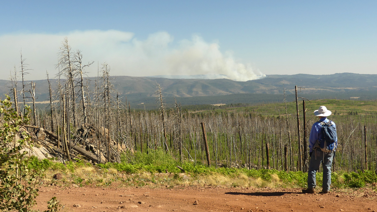 view from Big Lake Knoll with big cloud of smoke on the horizon