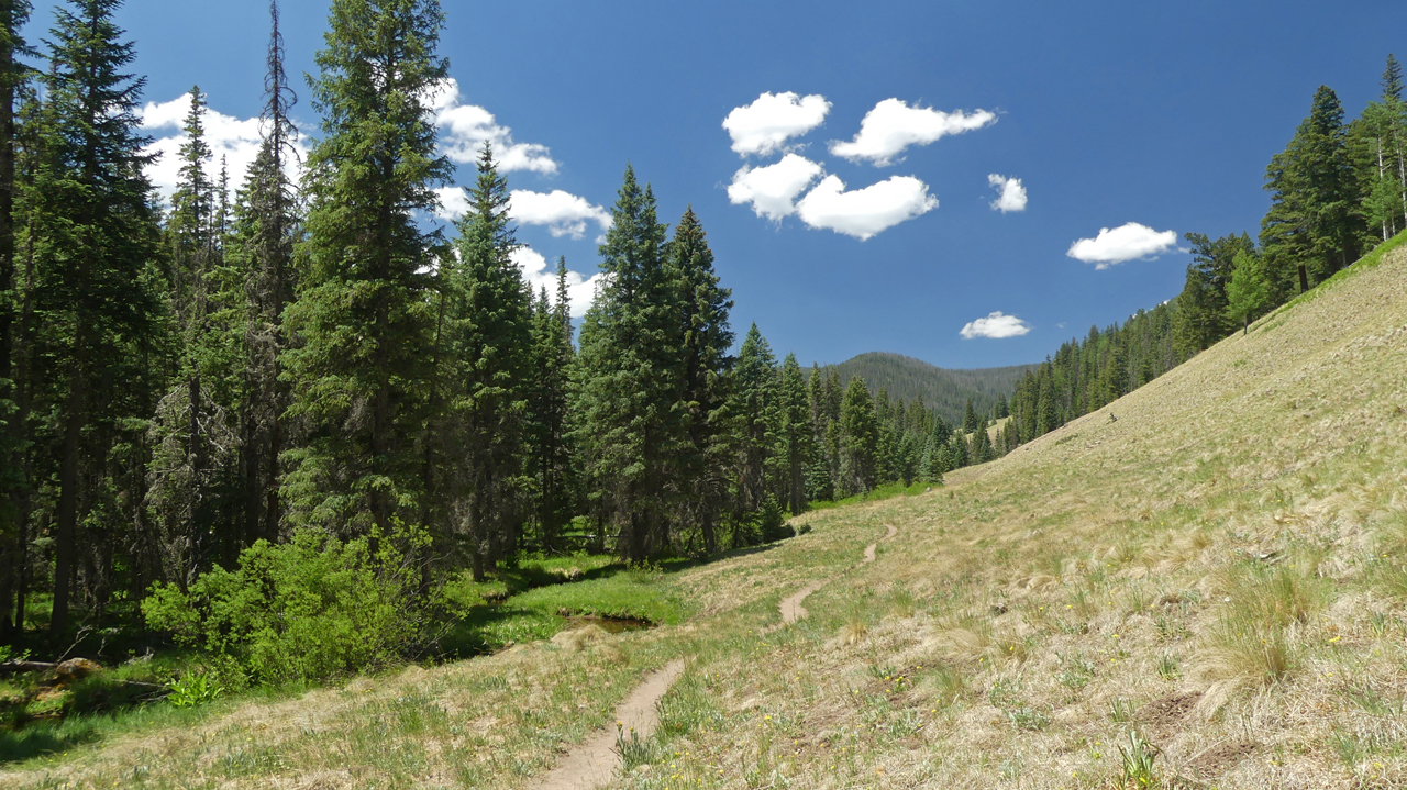 West Baldy Trail