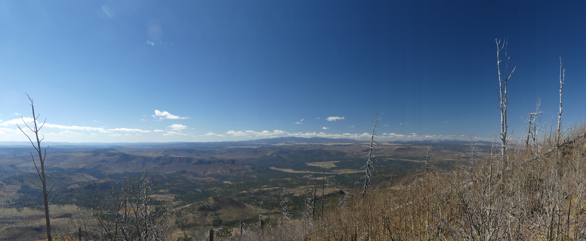 view to the west