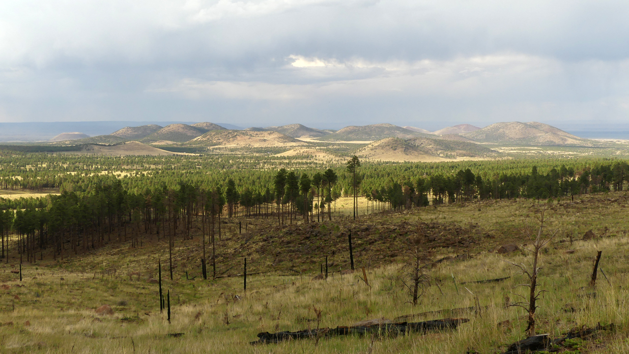 cinder cones north of Sunset Crater