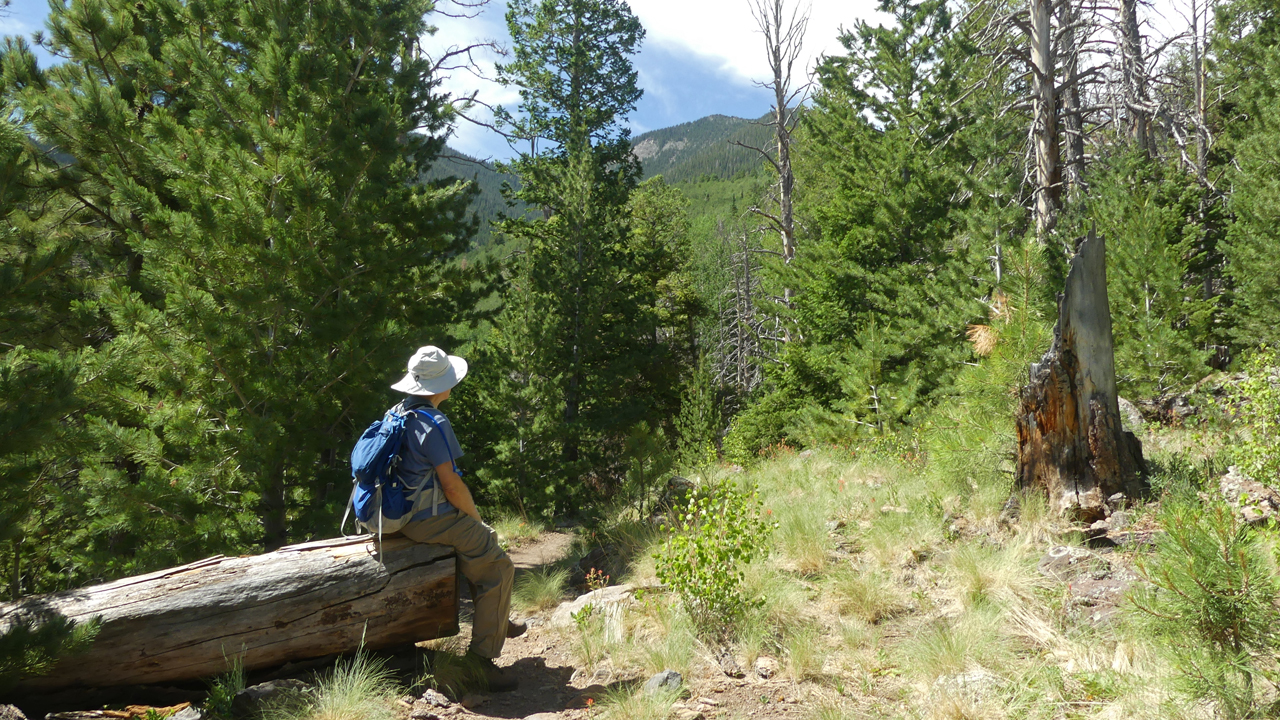 Bear Jaw Trail