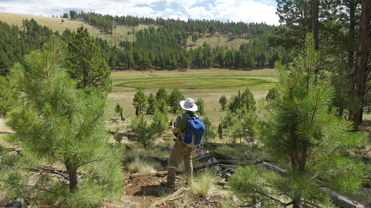 Walker Lake