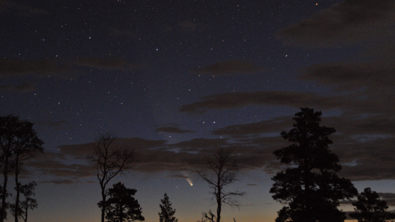 NEOWISE at dawn