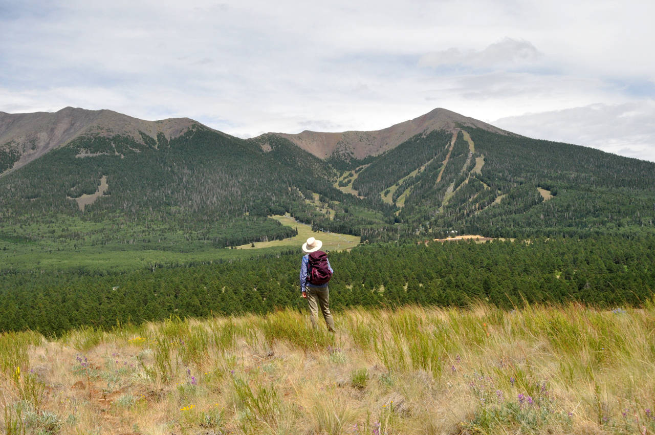 Humphreys Peak