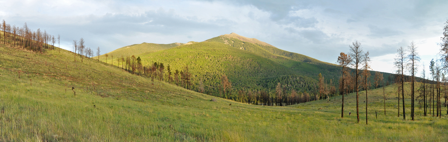 Humphreys Peak panorama