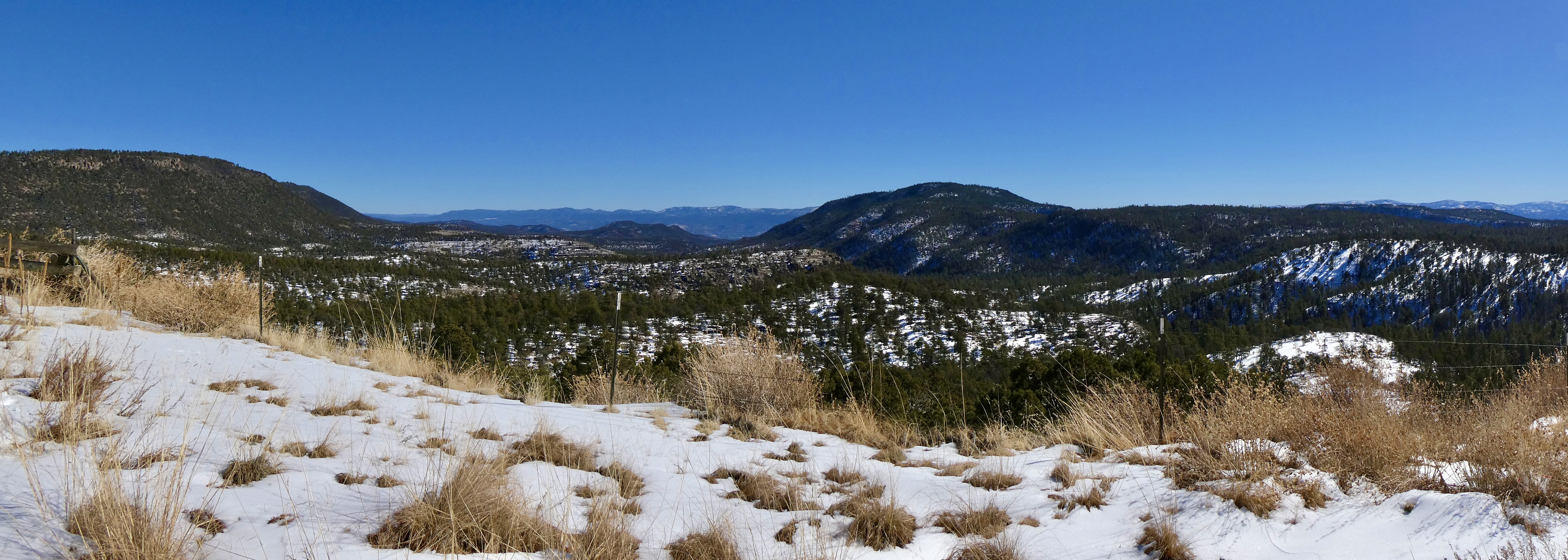 Mogollon Mountains from NM 180