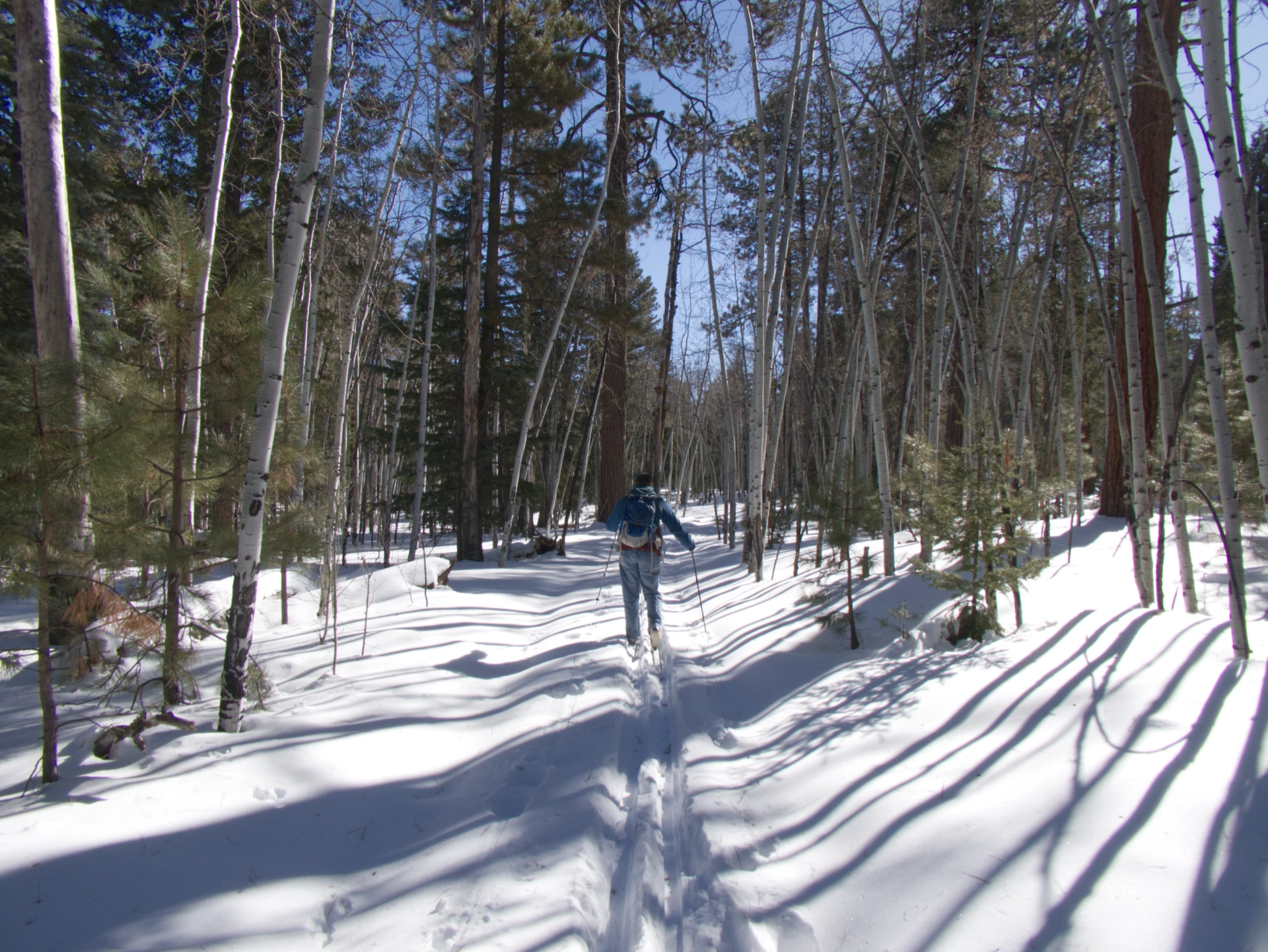 our tracks in deep snow