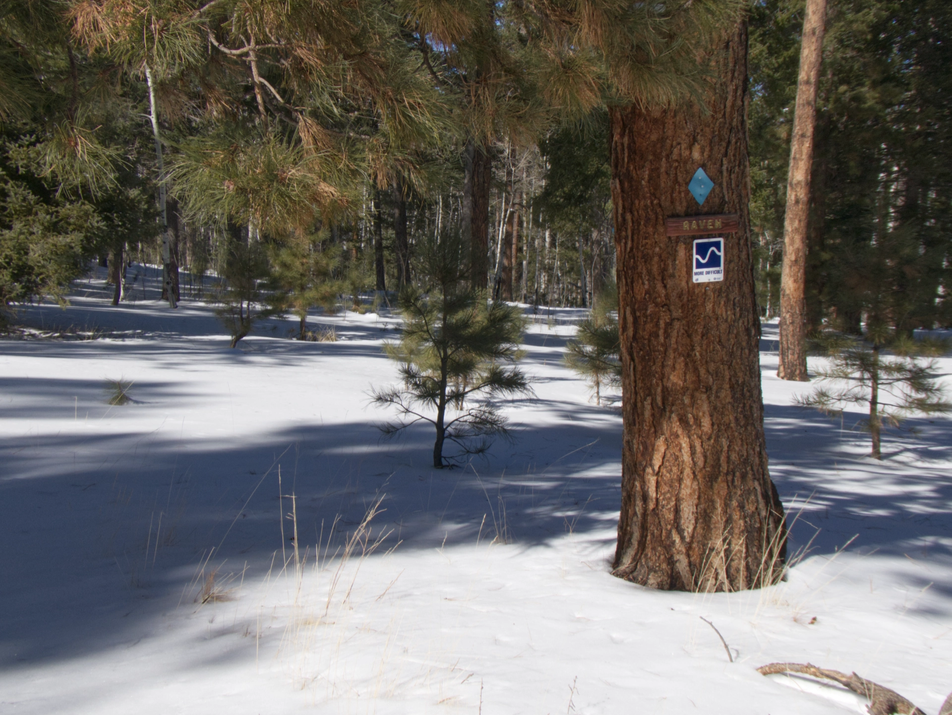 Raven Loop trail sign