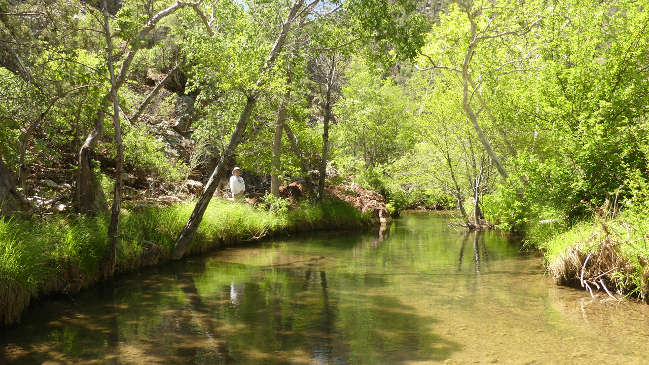 the creek