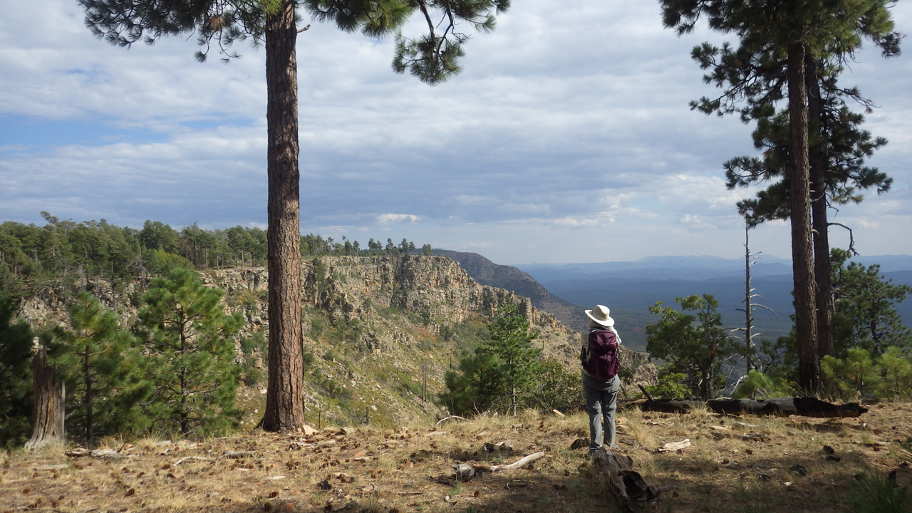 view from the Rim