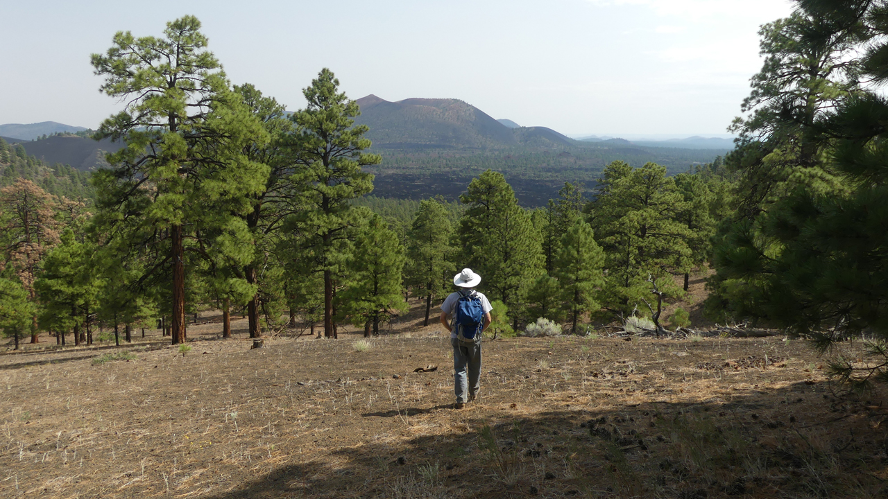 O'Leary Peak Trail