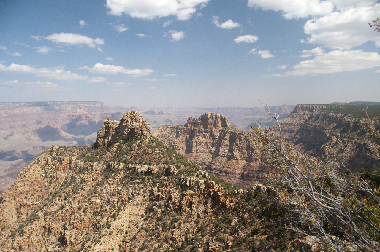 view from South Rim