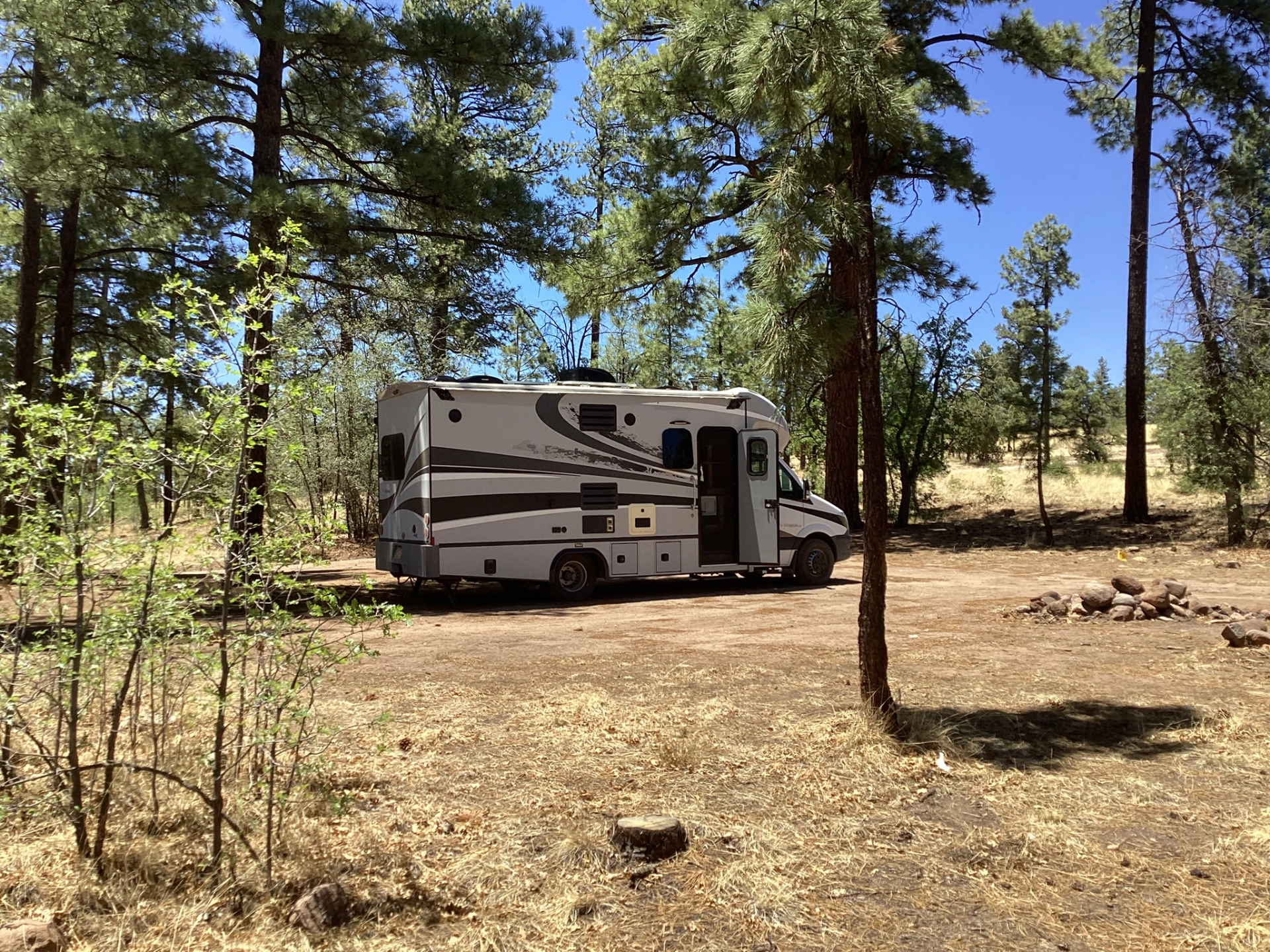 campsite in a Ponderosa forest