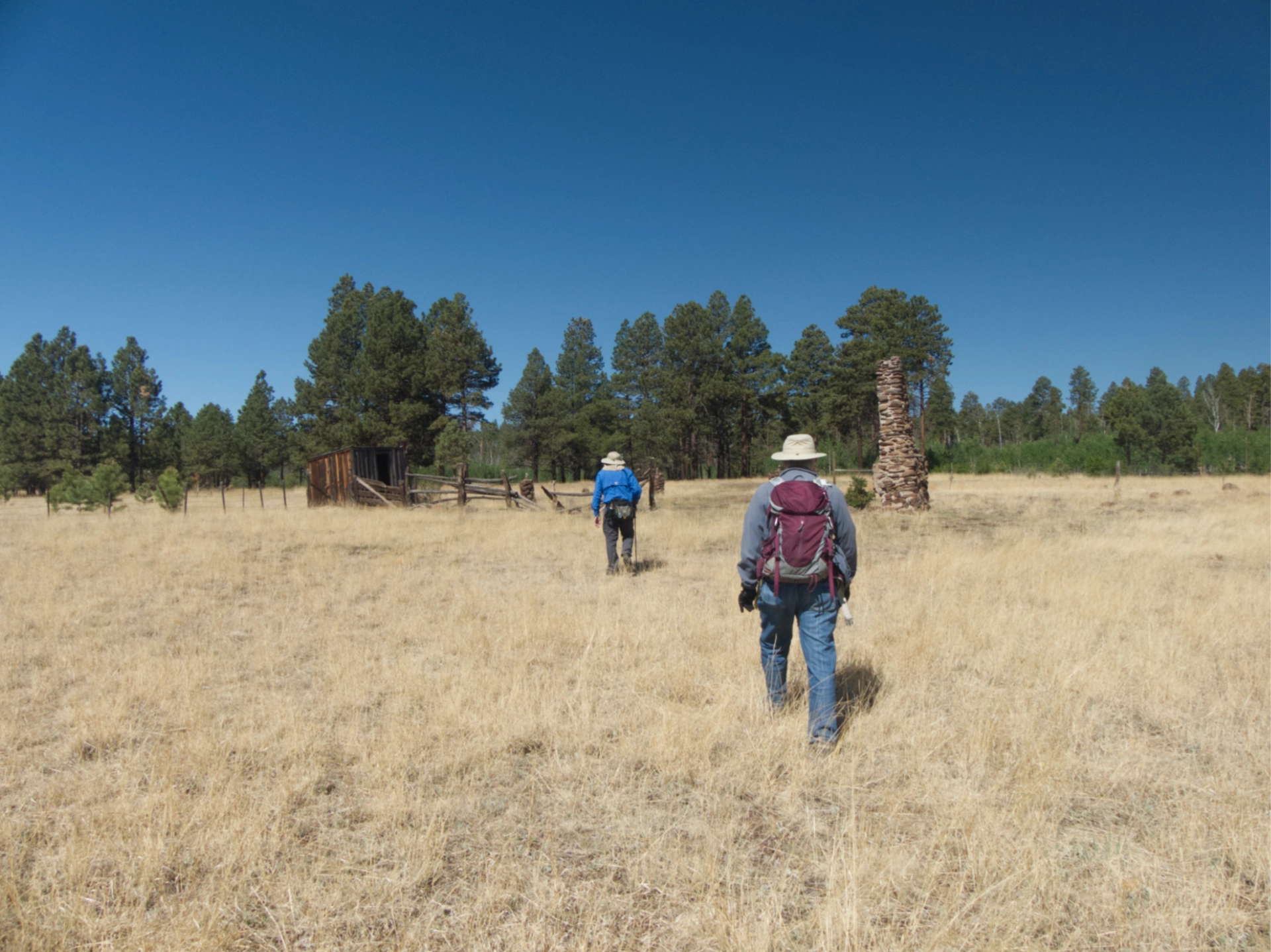 remains of an old forest service cabin