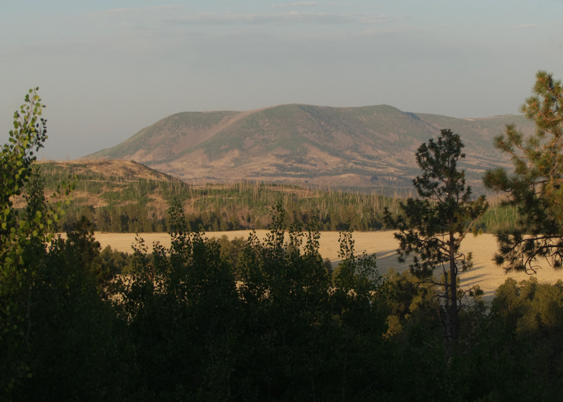 sunset view of Escudilla Mountain