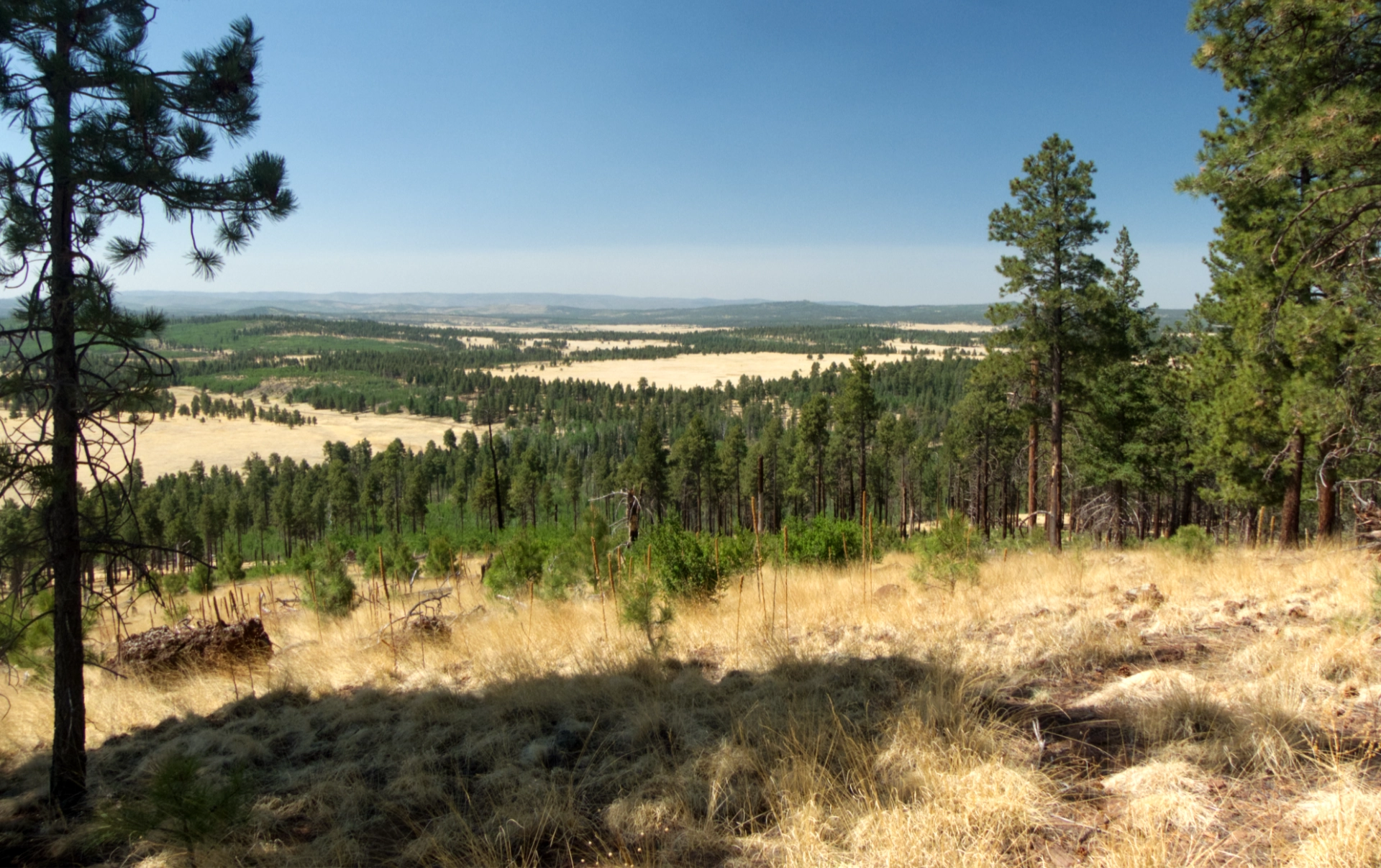 view toward Big Lake