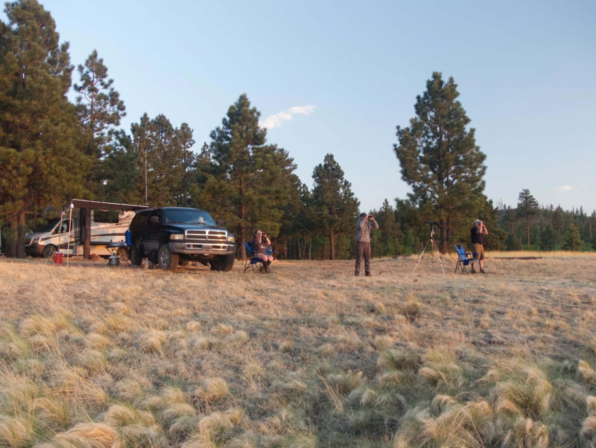 admiring elk feeding in a dry lake at sunset