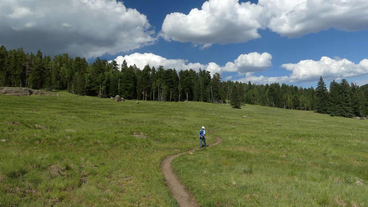 alpine meadows