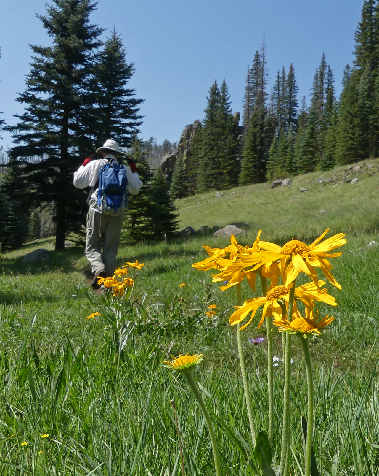 Thompson Trail