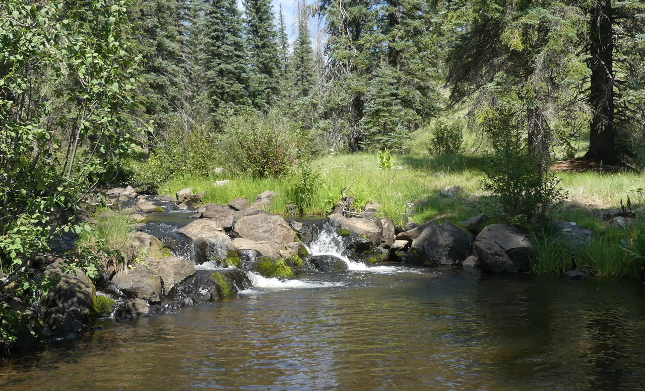 Waterfall on the West Fork