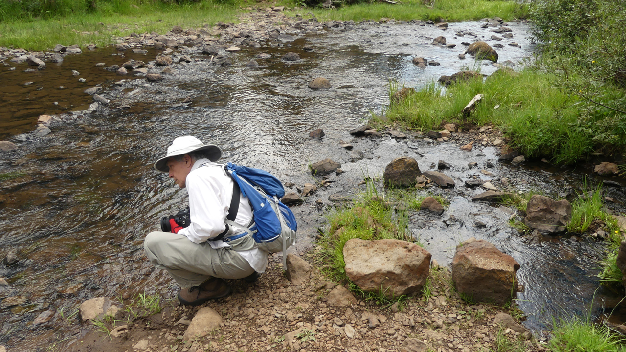 at the confluence