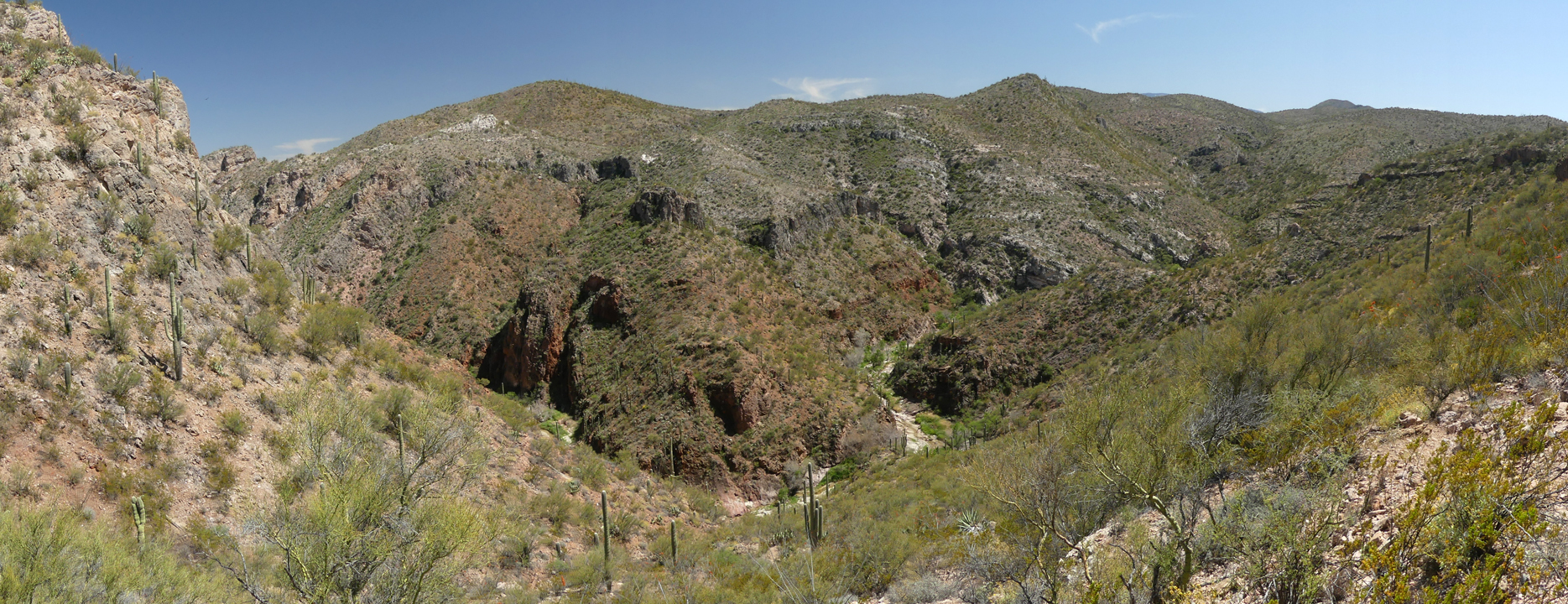 canyon view