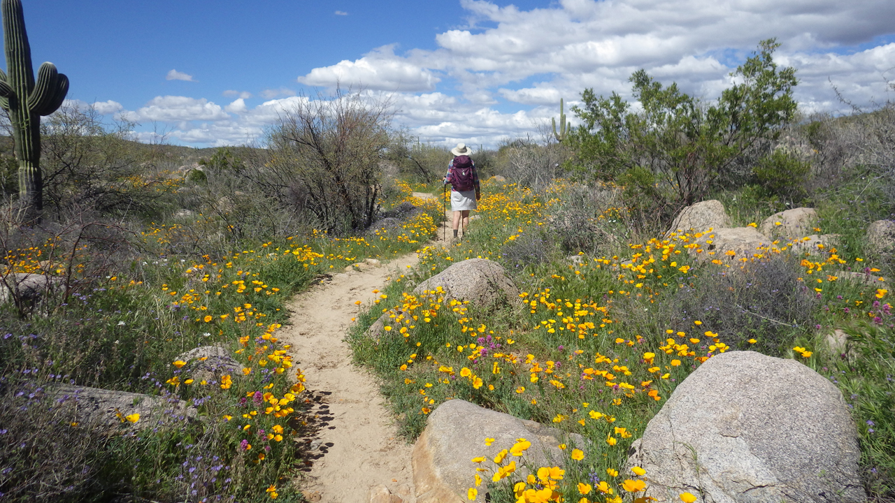 Sutherland Trail