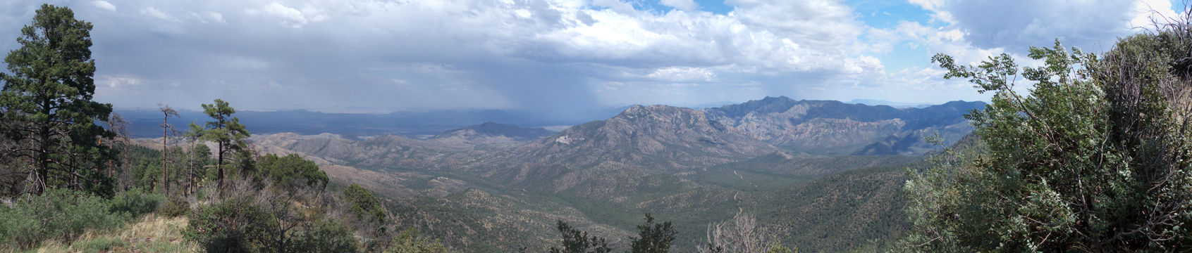 Chiricahuas Panorama