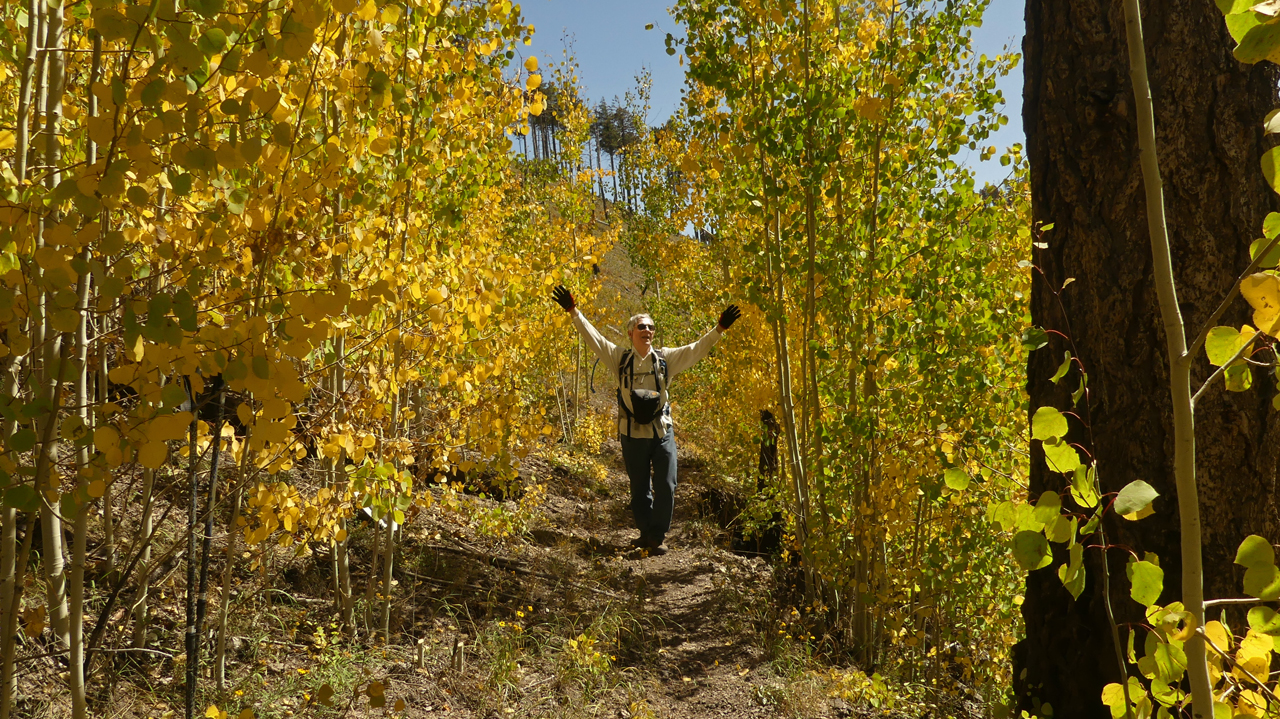 Dancing in the aspen