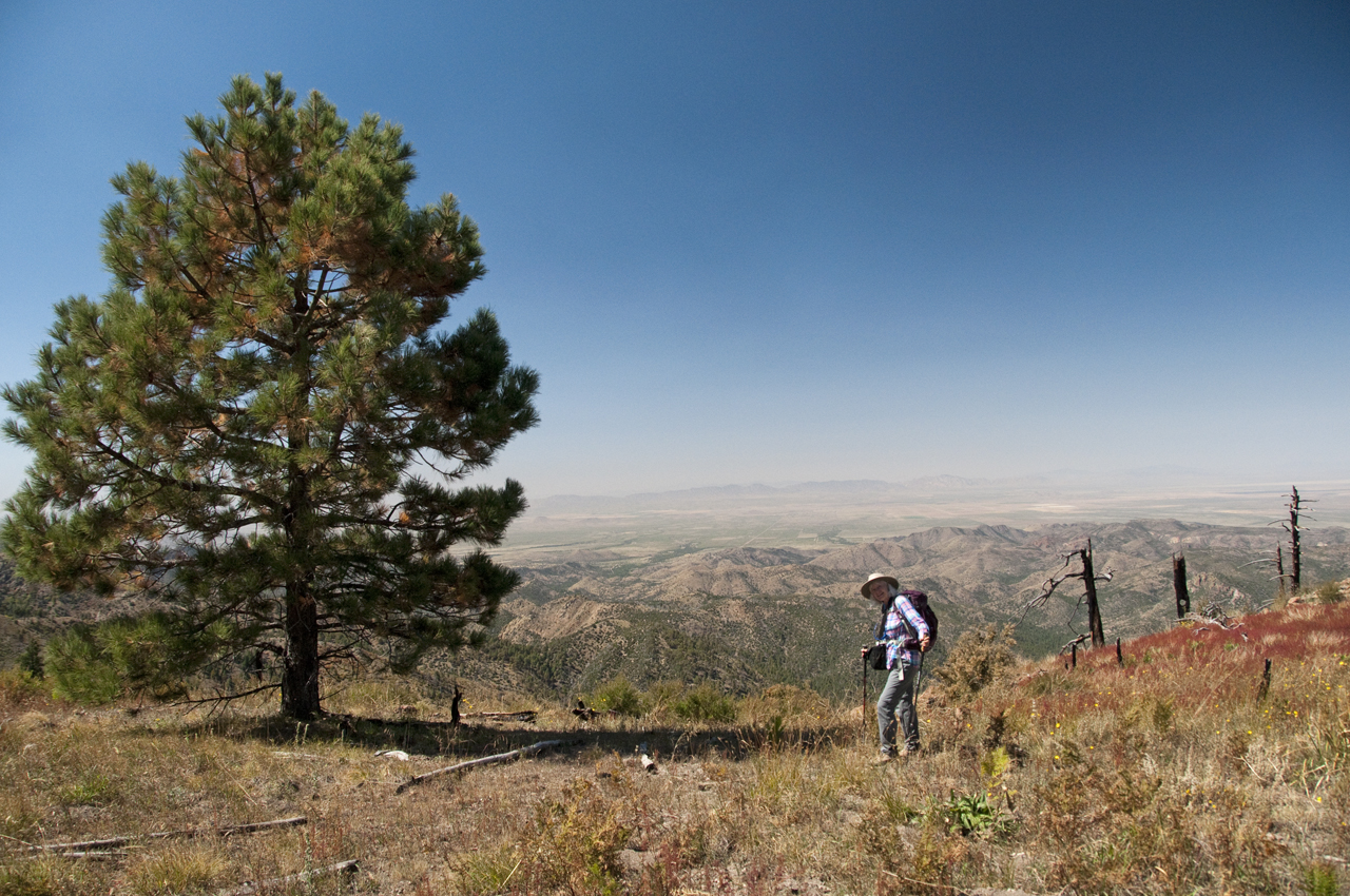 View from Flys Peak