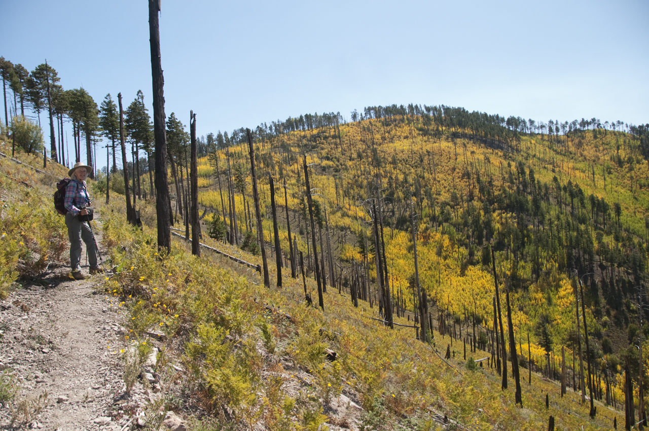 Distant views from the Crest Trail